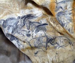 Grotte Chauvet 2 - Panneau des chevaux - Copyright SYCPA